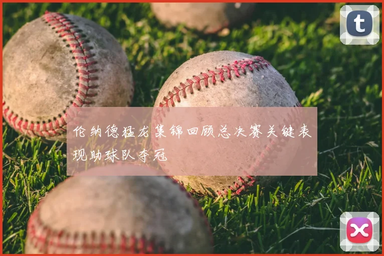 伦纳德猛龙集锦回顾总决赛关键表现助球队夺冠